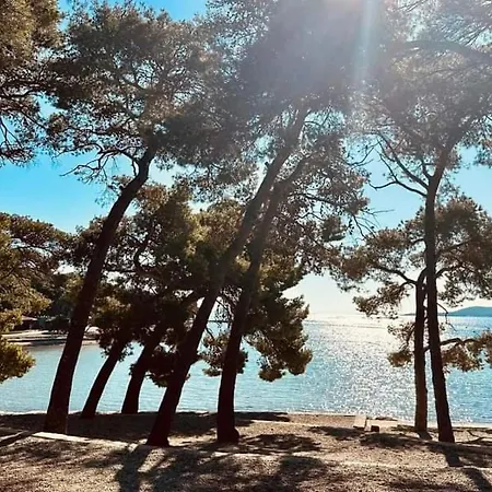 아파트 Lana 비오그라드나모루